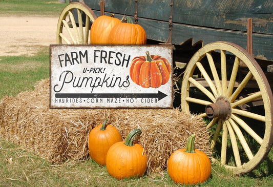 FARM FRESH PUMPKINS SIGN