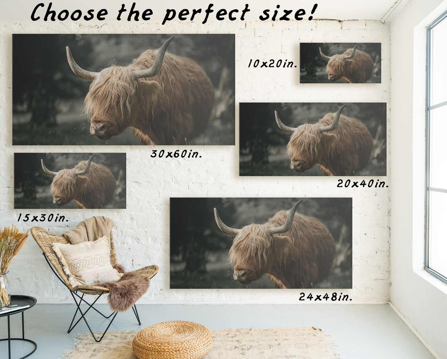 HIGHLAND CATTLE WALL ART