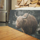 HIGHLAND CATTLE WALL ART