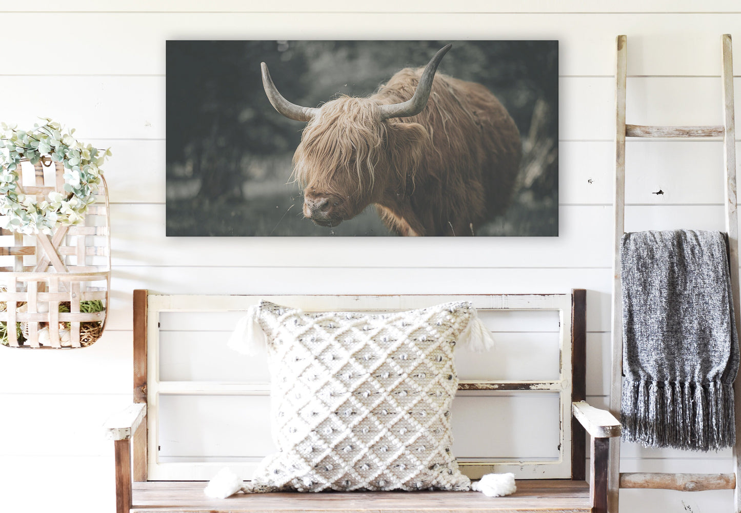 HIGHLAND CATTLE WALL ART