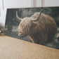 HIGHLAND CATTLE WALL ART