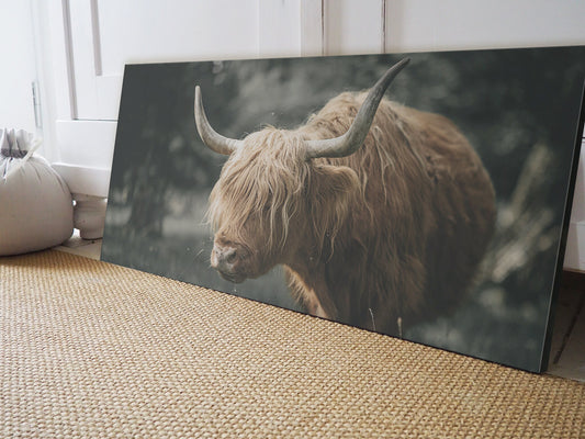 HIGHLAND CATTLE WALL ART