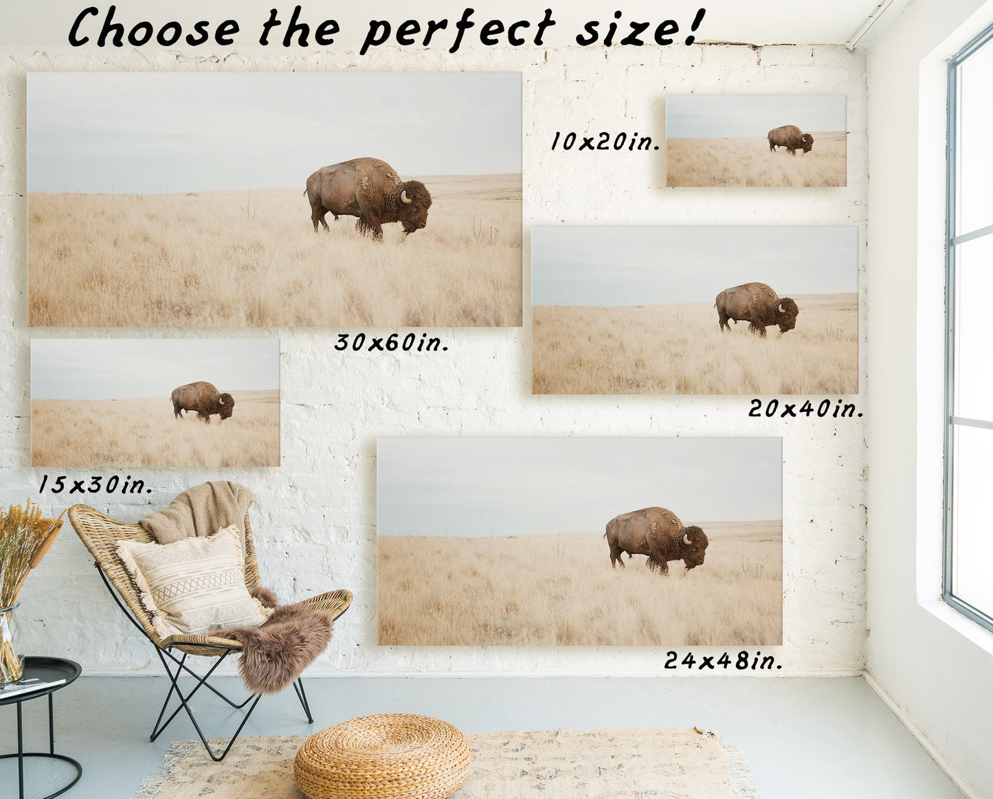 BUFFALO WALL ART