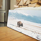 BUFFALO WALL ART