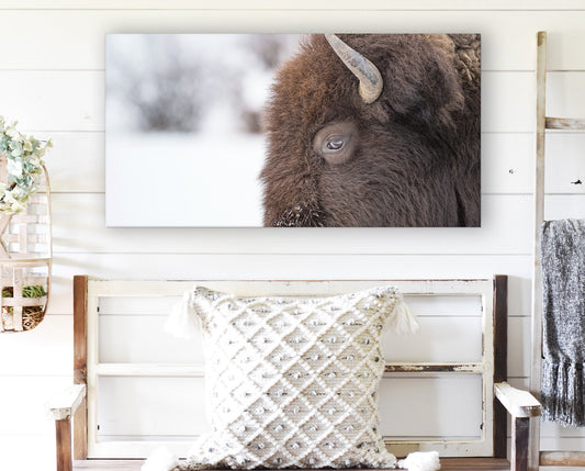 BUFFALO WALL ART