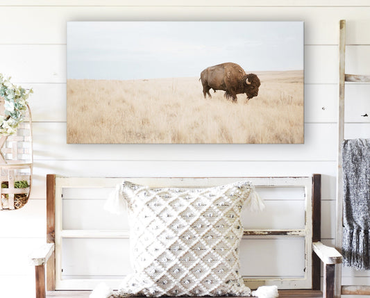 BUFFALO WALL ART