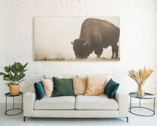 BUFFALO WALL ART